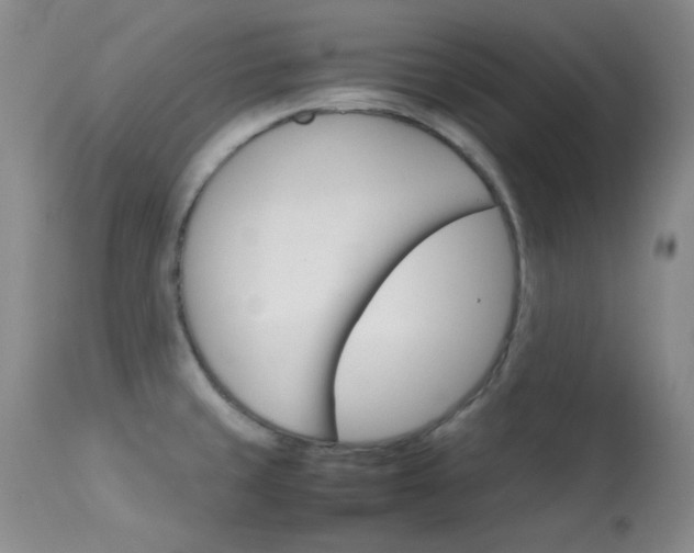 X0000114141429200910081015