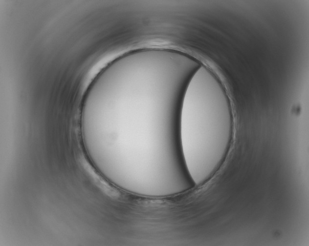 X0000114141432200910081015