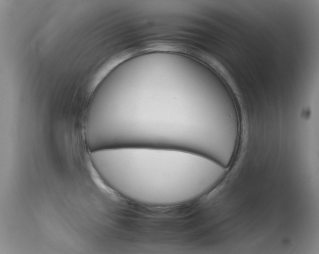 X0000114141433200910081016