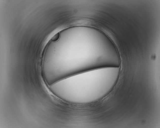 X0000114141434200910081016