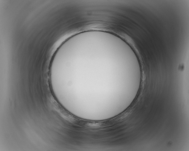 X0000114141435200910081016