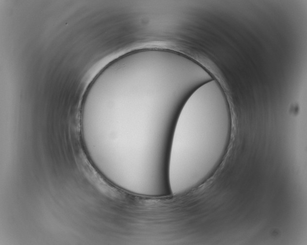 X0000114141436200910081016