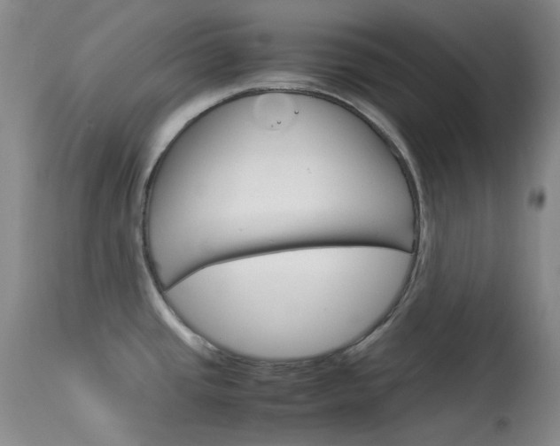 X0000114141437200910081016