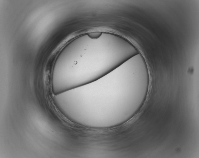 X0000114141438200910081016