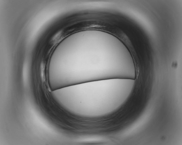 X0000114141439200910081016