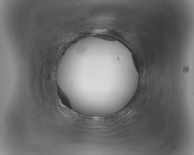 X0000114141441200910081015