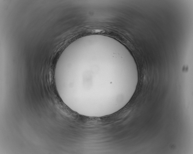 X0000114141442200910081015