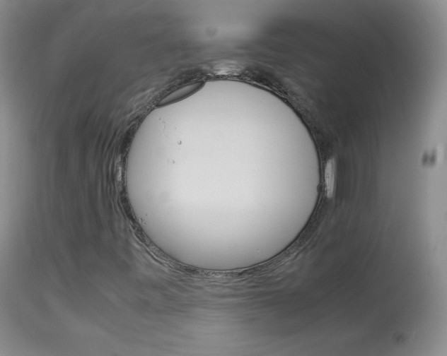 X0000114141443200910081015
