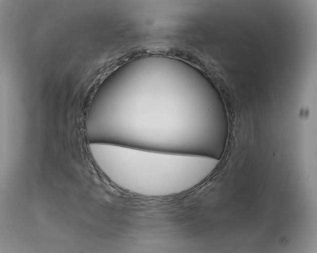 X0000114141445200910081015