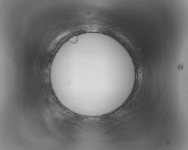 X0000114141446200910081015