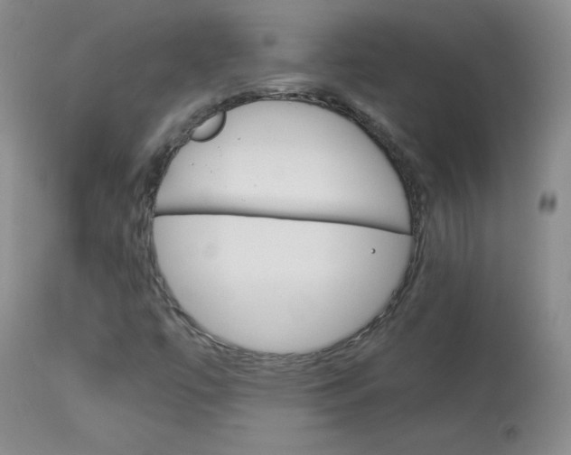 X0000114141447200910081015