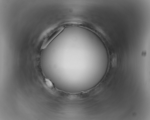 X0000114141448200910081015