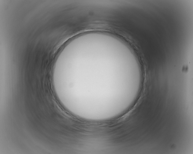 X0000114141449200910081015