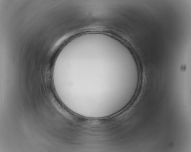 X0000114141450200910081015