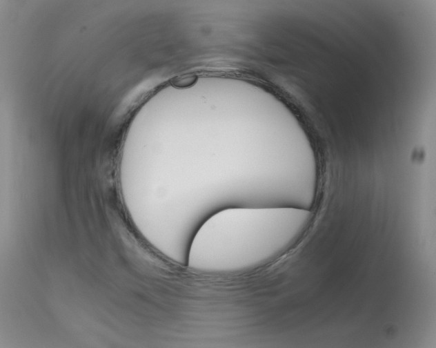 X0000114141451200910081015