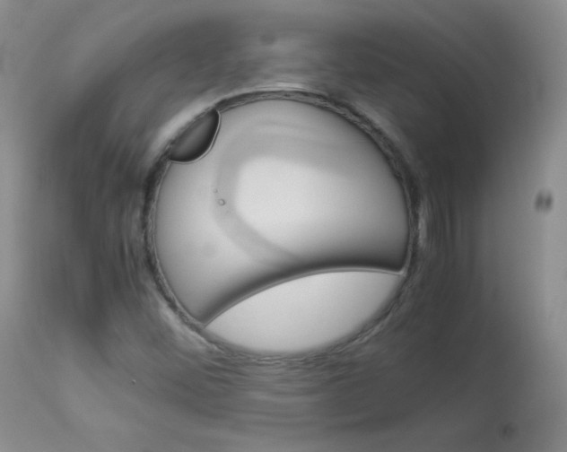 X0000114141452200910081015