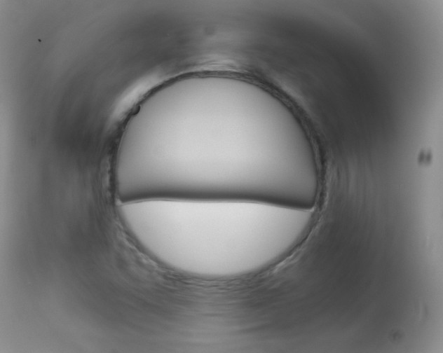 X0000114141455200910081015