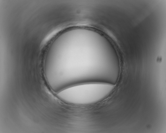 X0000114141456200910081015