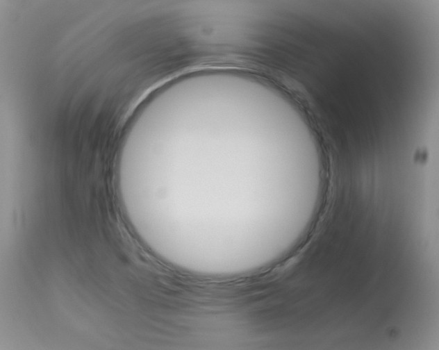 X0000114141457200910081015