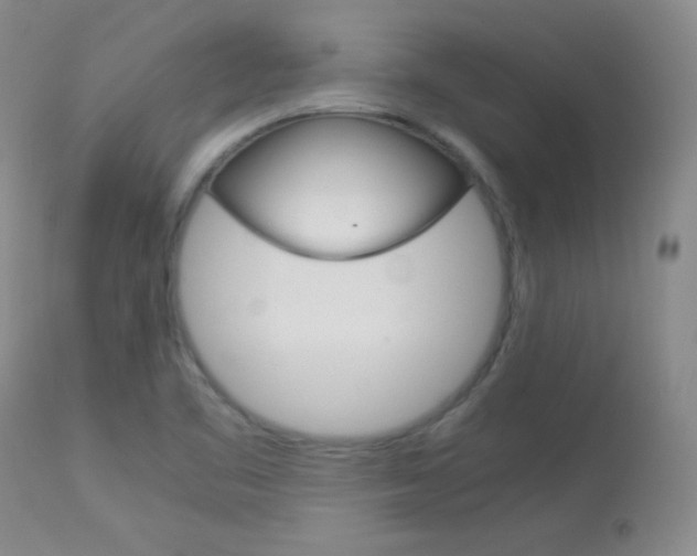 X0000114141461200910081015