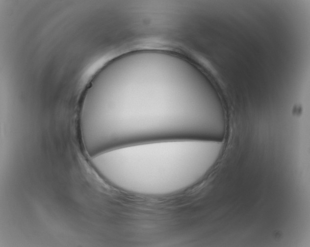 X0000114141463200910081015