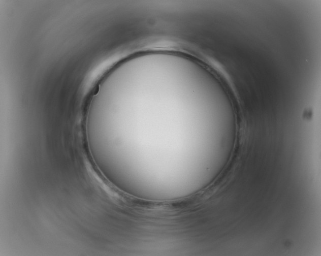 X0000114141464200910081015