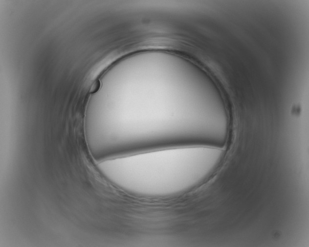 X0000114141465200910081015