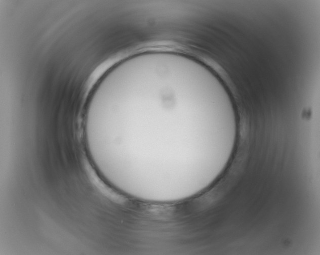 X0000114141466200910081015