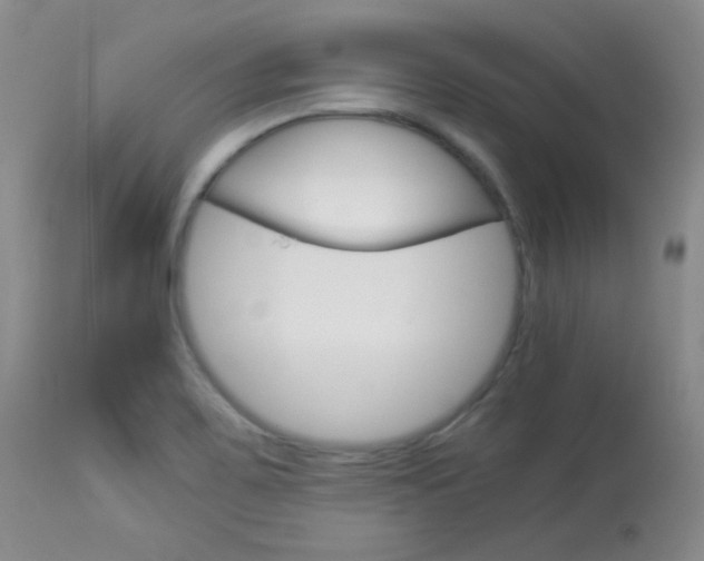 X0000114141467200910081015