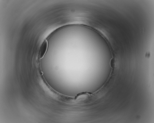 X0000114141468200910081015