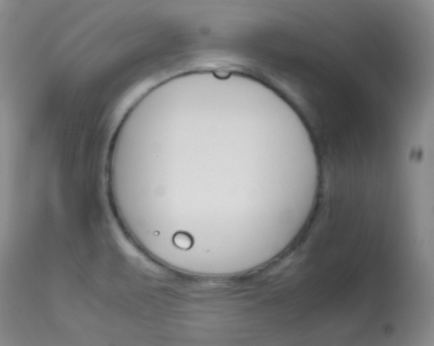 X0000114141471200910081015