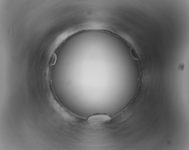 X0000114141472200910081015