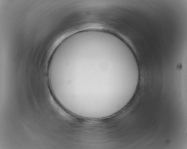 X0000114141475200910081014