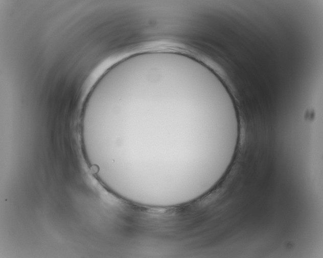 X0000114141478200910081014