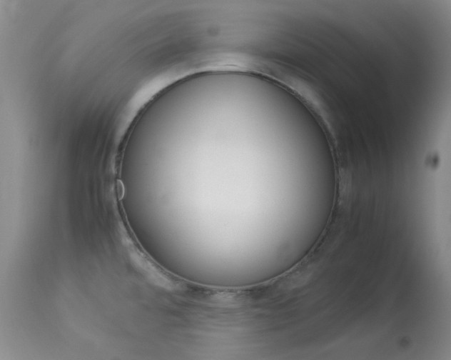 X0000114141480200910081014