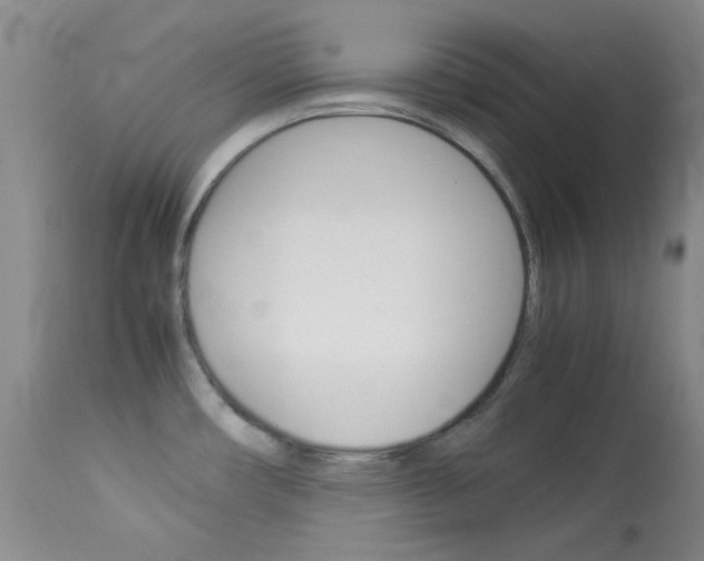 X0000114141482200910081014