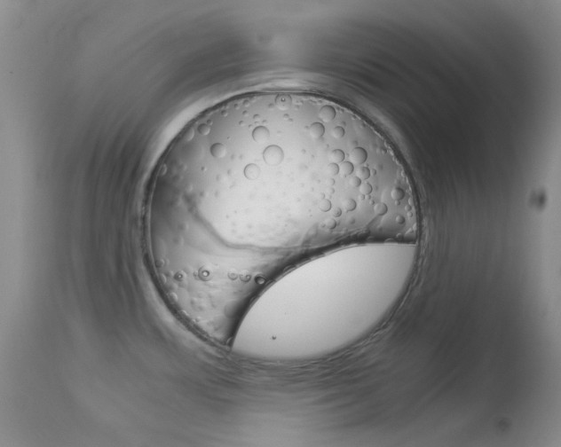 X0000114141483200910081014