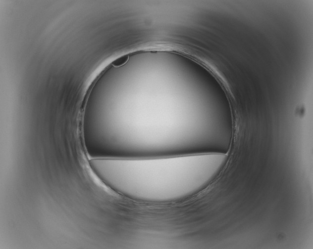 X0000114141484200910081014