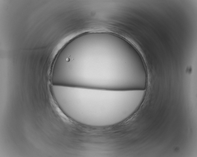 X0000114141485200910081014