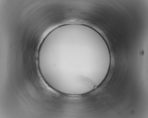 X0000114141486200910081014