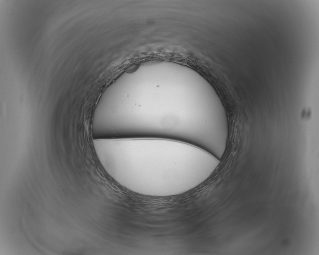 X0000114141489200910081013
