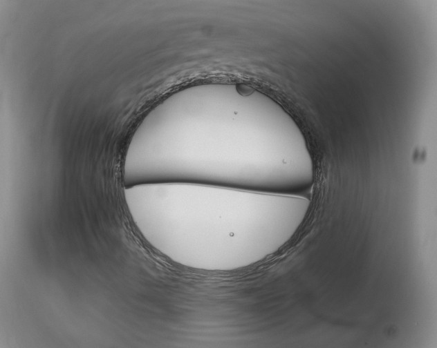X0000114141490200910081013