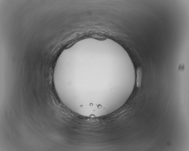 X0000114141491200910081014
