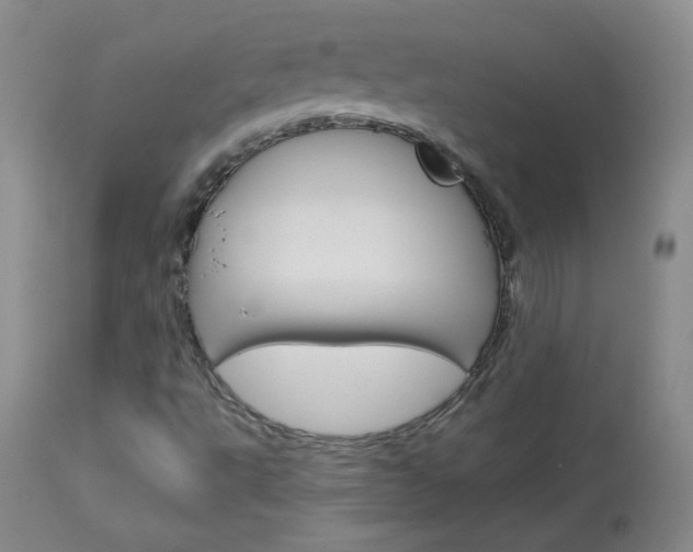 X0000114141495200910081014