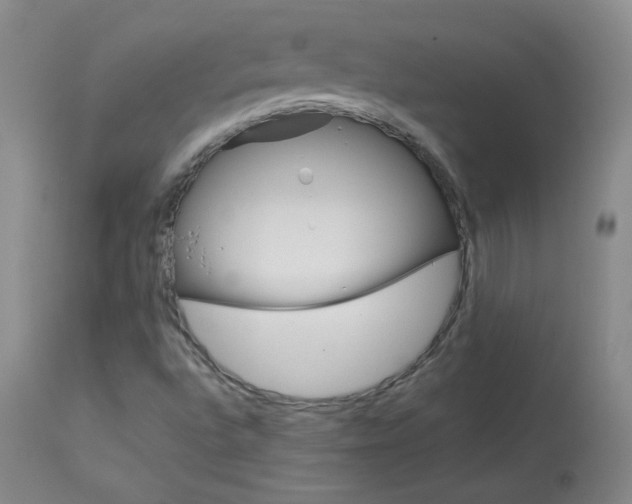 X0000114141496200910081014