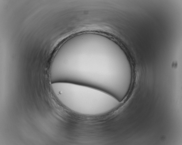 X0000114141497200910081014