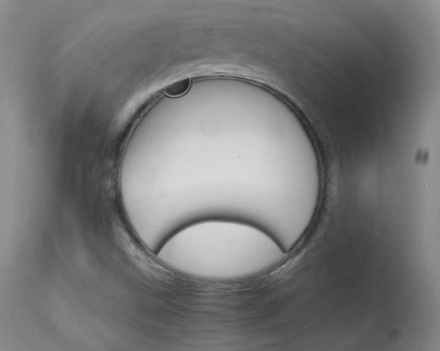 X0000114141499200910081014
