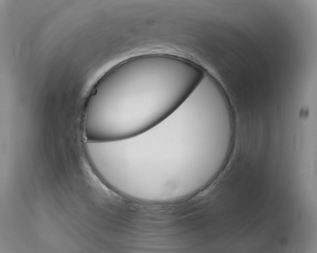 X0000114141500200910081014