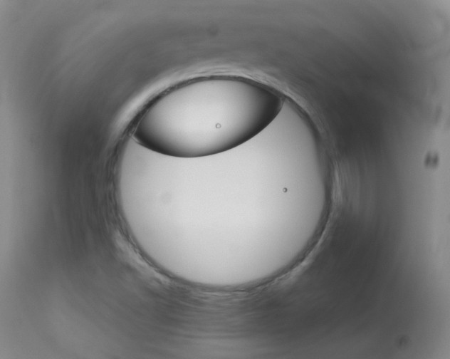 X0000114141502200910081014