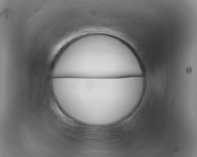 X0000114141503200910081014
